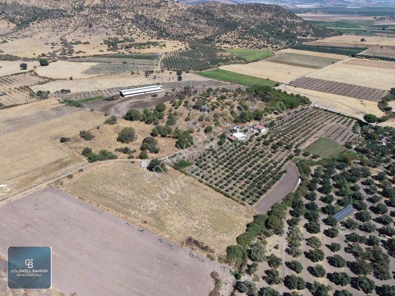 Dikili Demirtaşta 20.610 M² Tarla Hayvancılık & Yatırım Fırsatı — fotoğraf 8