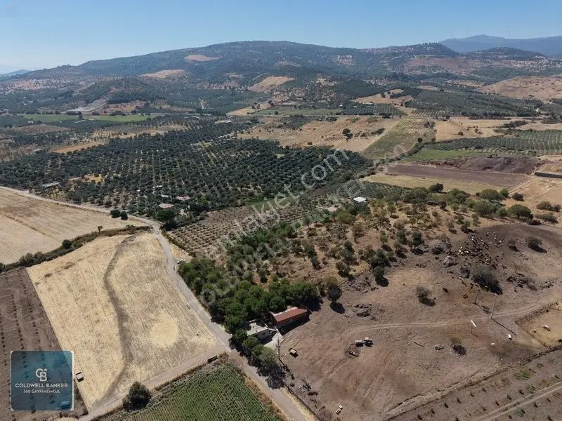 Dikili Demirtaşta 20.610 M² Tarla Hayvancılık & Yatırım Fırsatı — fotoğraf 10