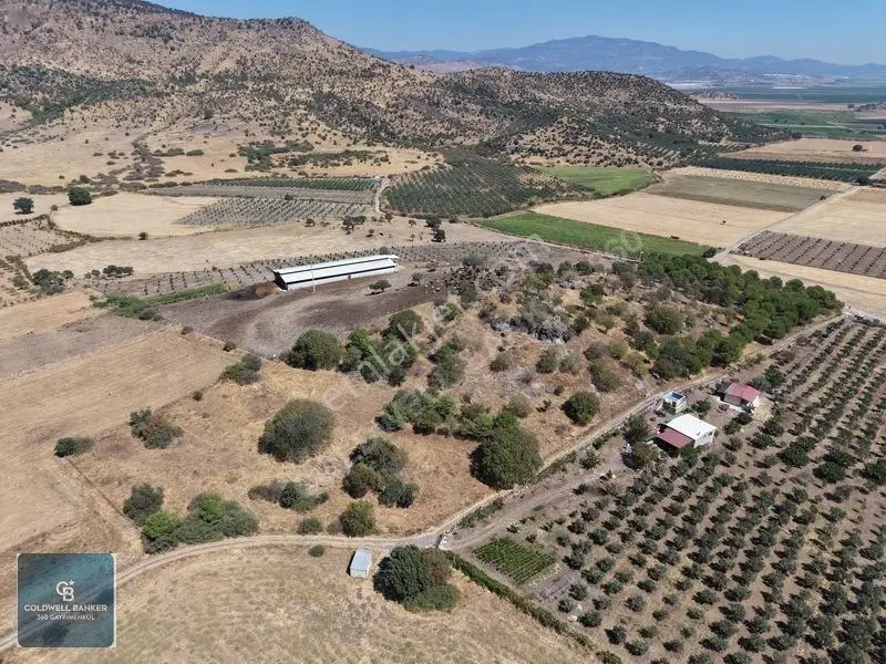 Dikili Demirtaşta 20.610 M² Tarla Hayvancılık & Yatırım Fırsatı — fotoğraf 12