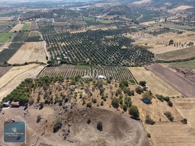Dikili Demirtaşta 20.610 M² Tarla Hayvancılık & Yatırım Fırsatı — fotoğraf 14