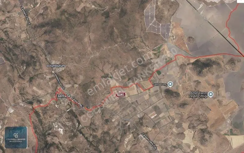 Dikili Demirtaşta 20.610 M² Tarla Hayvancılık & Yatırım Fırsatı — fotoğraf 15