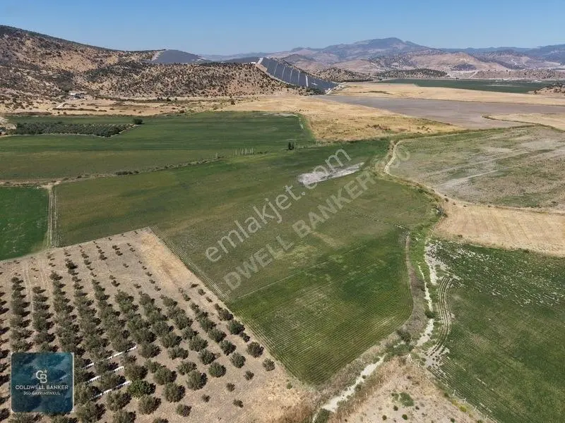 Dikili Demirtaşta 9.893 M² Tarla | Hayvancılık & Yatırım Fırsatı