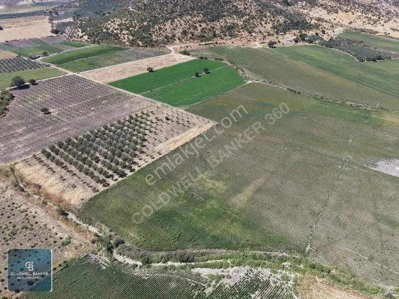 Dikili Demirtaşta 9.893 M² Tarla | Hayvancılık & Yatırım Fırsatı — fotoğraf 6