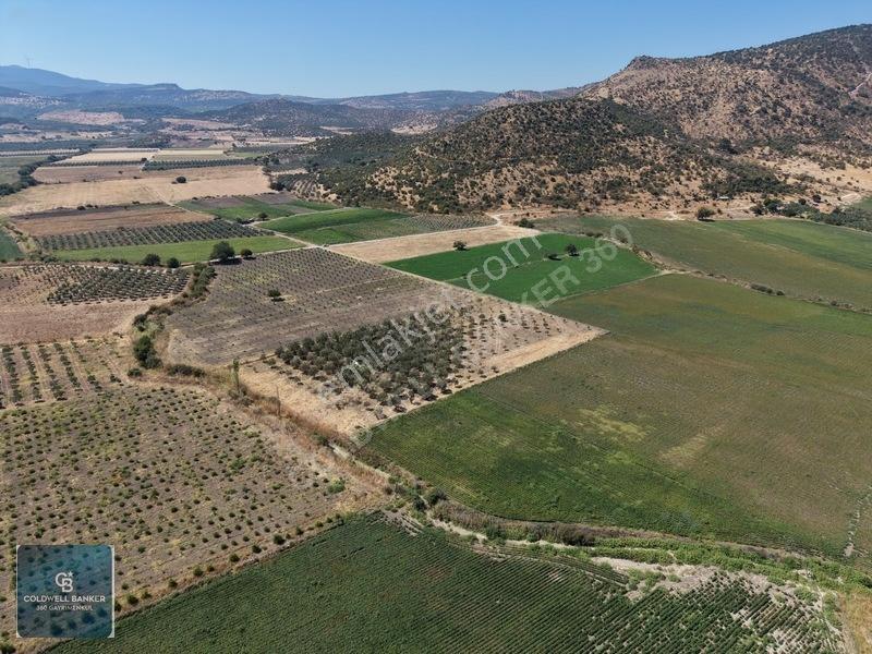 Dikili Demirtaşta 9.893 M² Tarla | Hayvancılık & Yatırım Fırsatı — fotoğraf 8
