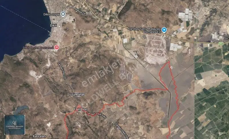 Dikili Demirtaşta 9.893 M² Tarla | Hayvancılık & Yatırım Fırsatı — fotoğraf 10