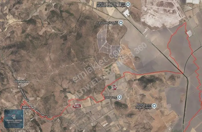 Dikili Demirtaşta 9.893 M² Tarla | Hayvancılık & Yatırım Fırsatı — fotoğraf 12