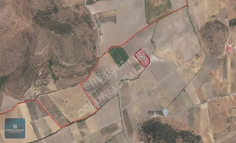 Dikili Demirtaşta 9.893 M² Tarla | Hayvancılık & Yatırım Fırsatı — fotoğraf 13