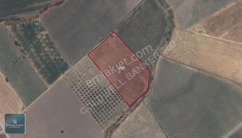 Dikili Demirtaşta 9.893 M² Tarla | Hayvancılık & Yatırım Fırsatı — fotoğraf 14
