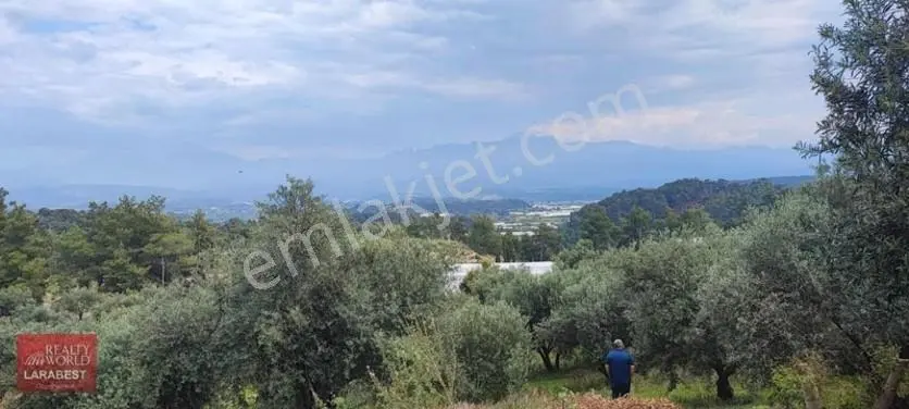 Aksu Kurşunlu Köyü Satılık Tarla — fotoğraf 2