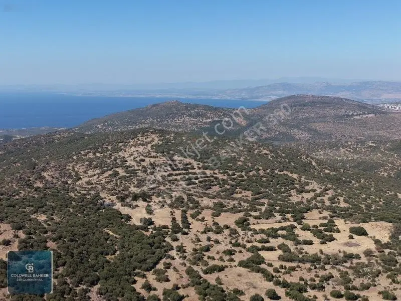 Satılık Dikilide Res Yatırımları Bölgesinde Stratejik Tarla
