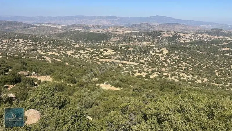 Satılık Dikilide Res Yatırımları Bölgesinde Stratejik Tarla — fotoğraf 2