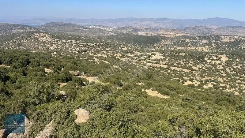 Satılık Dikilide Res Yatırımları Bölgesinde Stratejik Tarla — fotoğraf 3