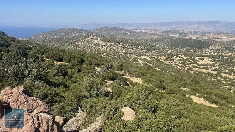 Satılık Dikilide Res Yatırımları Bölgesinde Stratejik Tarla — fotoğraf 4