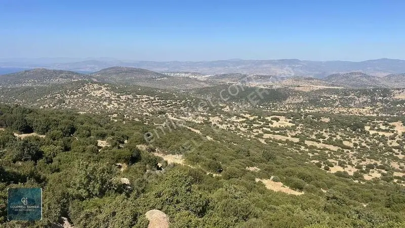 Satılık Dikilide Res Yatırımları Bölgesinde Stratejik Tarla — fotoğraf 5