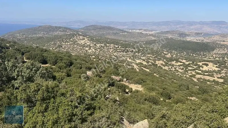 Satılık Dikilide Res Yatırımları Bölgesinde Stratejik Tarla — fotoğraf 6