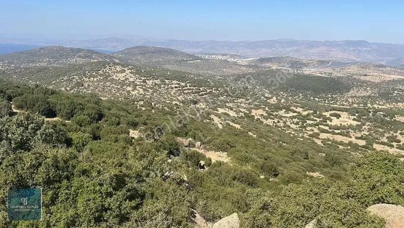 Satılık Dikilide Res Yatırımları Bölgesinde Stratejik Tarla — fotoğraf 7