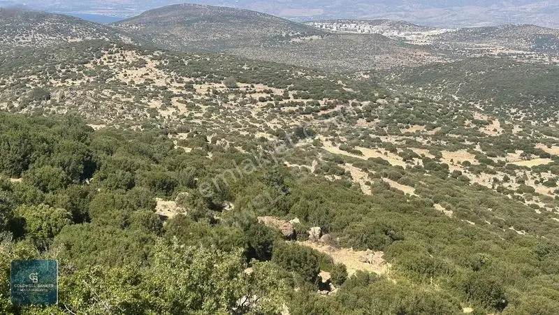 Satılık Dikilide Res Yatırımları Bölgesinde Stratejik Tarla — fotoğraf 8