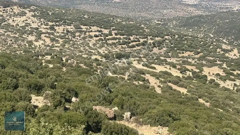 Satılık Dikilide Res Yatırımları Bölgesinde Stratejik Tarla — fotoğraf 9