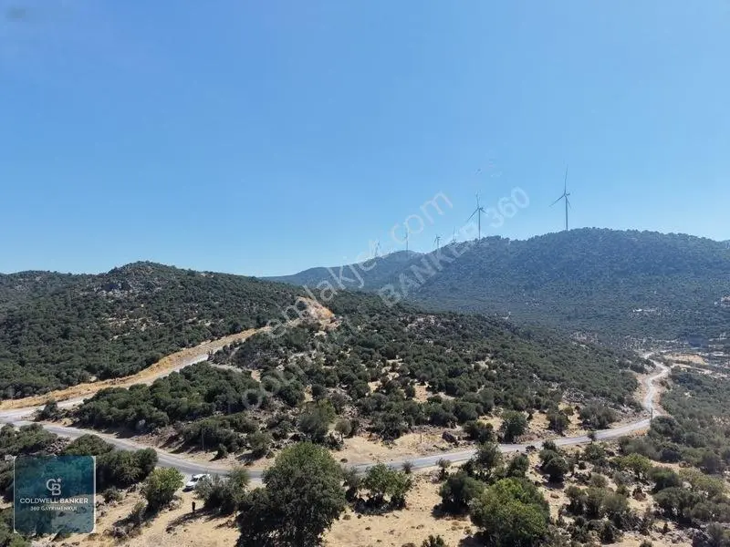 Satılık Dikilide Res Yatırımları Bölgesinde Stratejik Tarla — fotoğraf 10