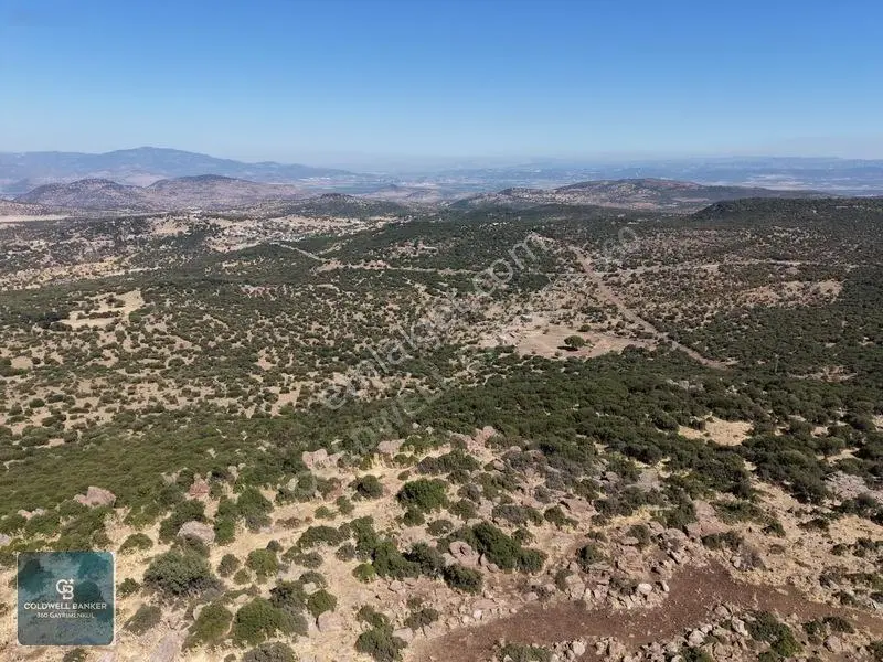 Satılık Dikilide Res Yatırımları Bölgesinde Stratejik Tarla — fotoğraf 13
