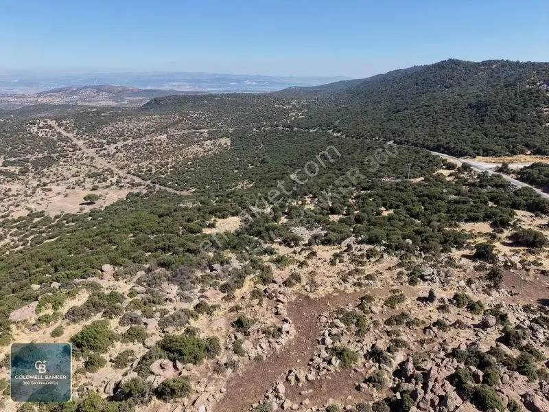 Satılık Dikilide Res Yatırımları Bölgesinde Stratejik Tarla — fotoğraf 14