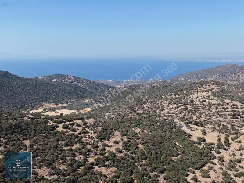 Satılık Dikilide Res Yatırımları Bölgesinde Stratejik Tarla — fotoğraf 16