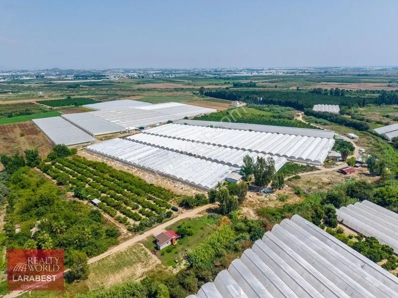 Aksu Solakta 8.365 M² Satılık Tarla | 7.000 M² Sera + İşçi Evi