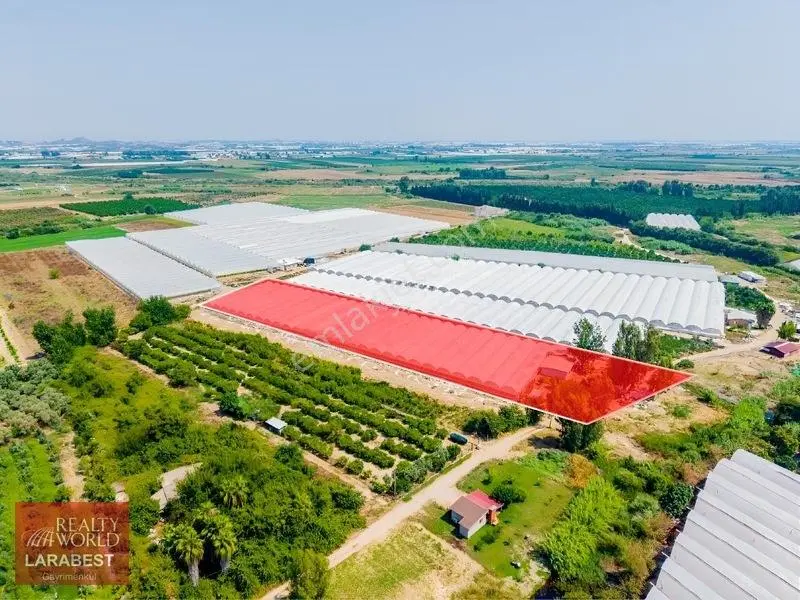 Aksu Solakta 8.365 M² Satılık Tarla | 7.000 M² Sera + İşçi Evi — fotoğraf 2