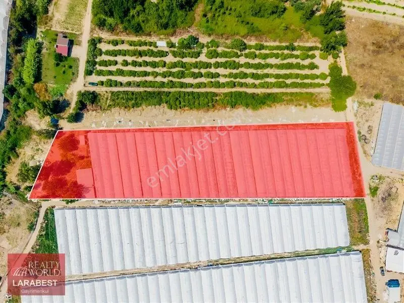 Aksu Solakta 8.365 M² Satılık Tarla | 7.000 M² Sera + İşçi Evi — fotoğraf 3