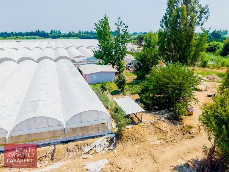 Aksu Solakta 8.365 M² Satılık Tarla | 7.000 M² Sera + İşçi Evi — fotoğraf 4