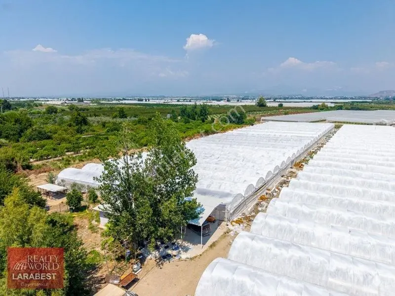 Aksu Solakta 8.365 M² Satılık Tarla | 7.000 M² Sera + İşçi Evi — fotoğraf 5