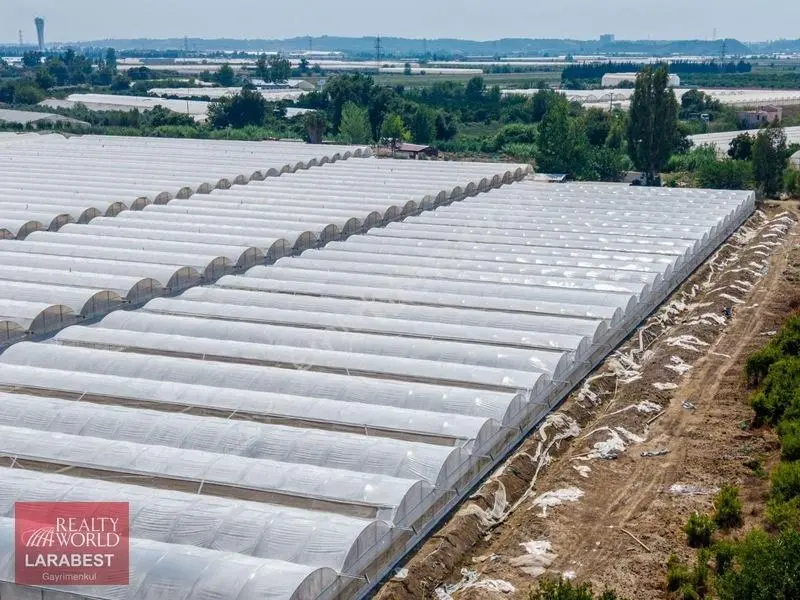 Aksu Solakta 8.365 M² Satılık Tarla | 7.000 M² Sera + İşçi Evi — fotoğraf 6