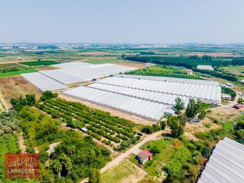 Aksu Solakta 8.365 M² Satılık Tarla | 7.000 M² Sera + İşçi Evi — fotoğraf 7