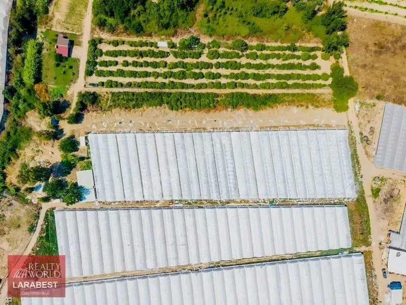 Aksu Solakta 8.365 M² Satılık Tarla | 7.000 M² Sera + İşçi Evi — fotoğraf 8