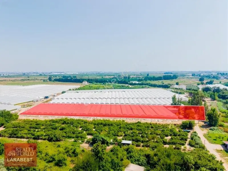 Aksu Solakta 8.365 M² Satılık Tarla | 7.000 M² Sera + İşçi Evi — fotoğraf 9