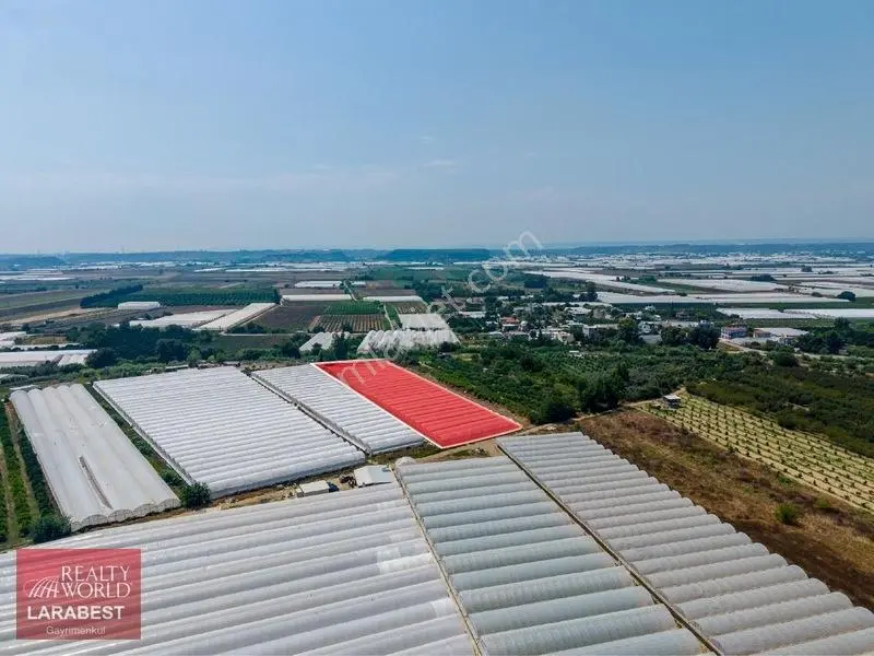 Aksu Solakta 8.365 M² Satılık Tarla | 7.000 M² Sera + İşçi Evi — fotoğraf 10
