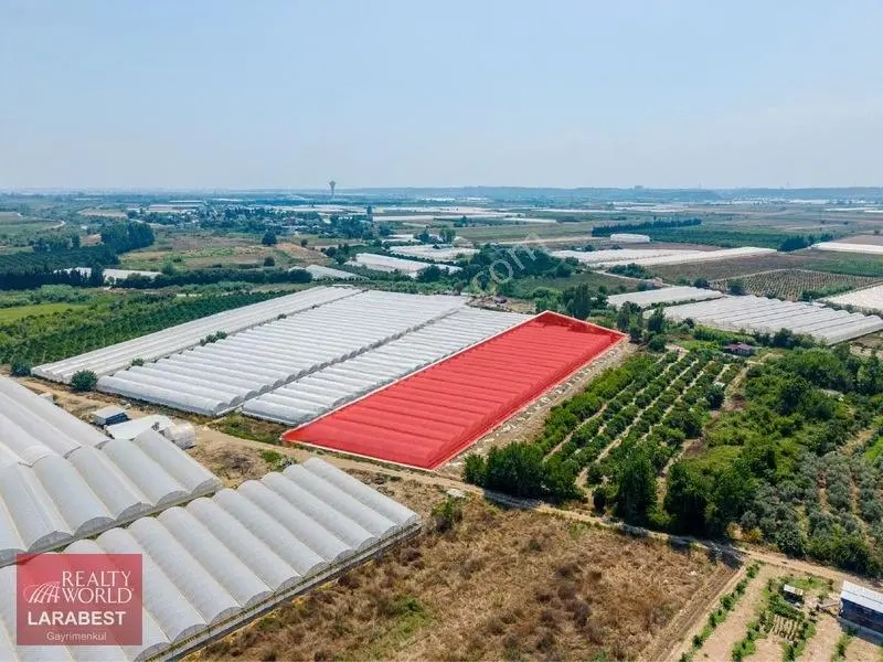 Aksu Solakta 8.365 M² Satılık Tarla | 7.000 M² Sera + İşçi Evi — fotoğraf 11