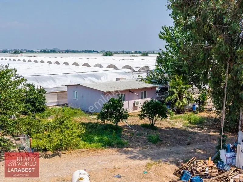 Aksu Solakta 8.365 M² Satılık Tarla | 7.000 M² Sera + İşçi Evi — fotoğraf 12