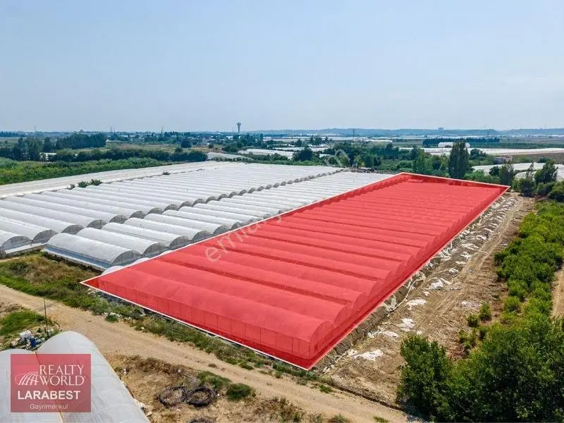 Aksu Solakta 8.365 M² Satılık Tarla | 7.000 M² Sera + İşçi Evi — fotoğraf 13