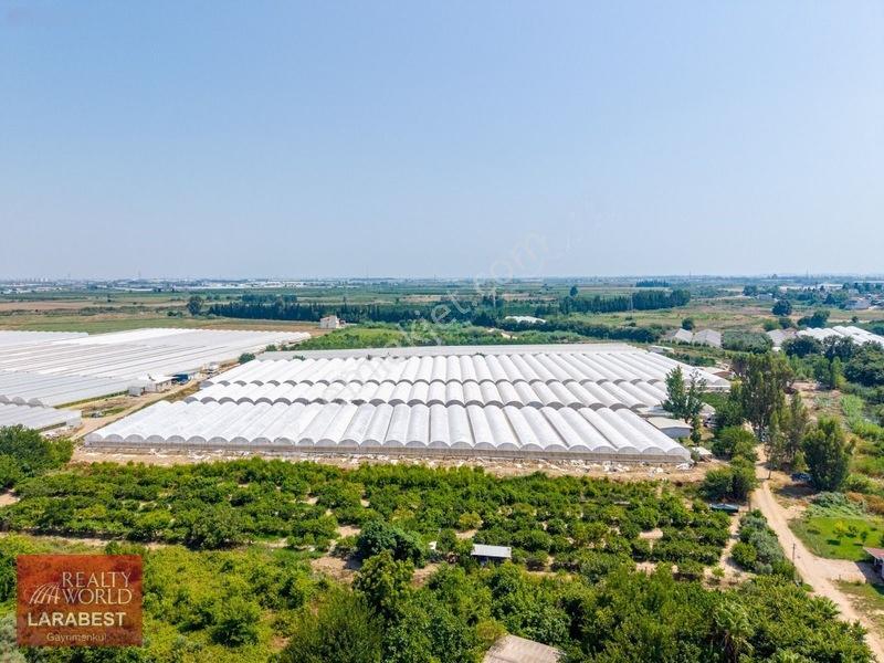 Aksu Solakta 8.365 M² Satılık Tarla | 7.000 M² Sera + İşçi Evi — fotoğraf 15