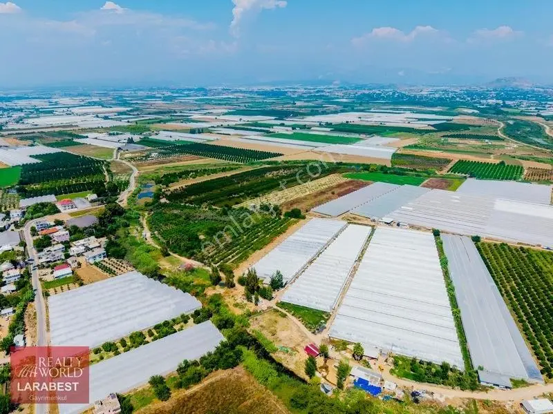 Aksu Solakta 8.365 M² Satılık Tarla | 7.000 M² Sera + İşçi Evi — fotoğraf 16