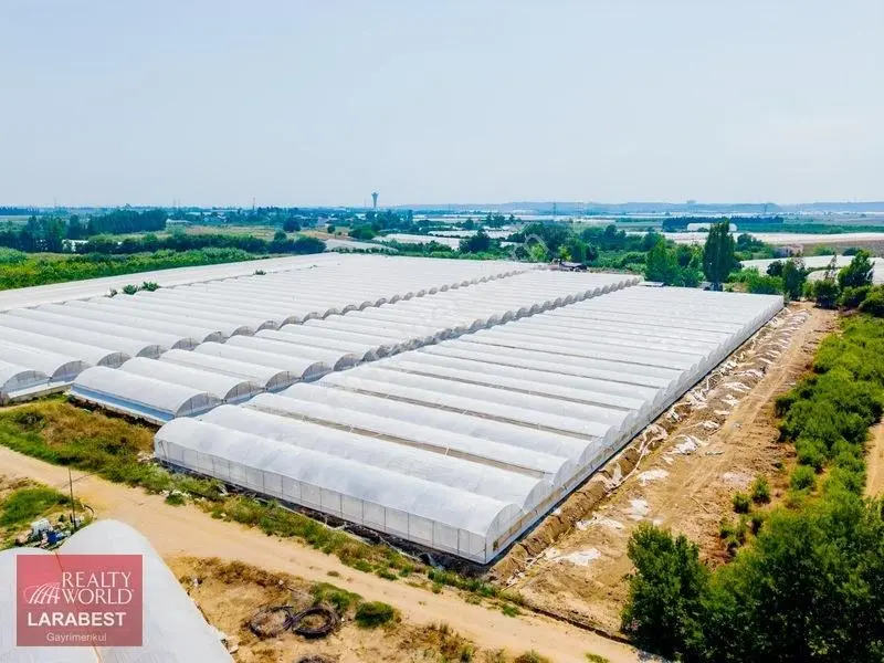 Aksu Solakta 8.365 M² Satılık Tarla | 7.000 M² Sera + İşçi Evi — fotoğraf 17