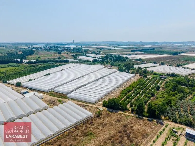 Aksu Solakta 8.365 M² Satılık Tarla | 7.000 M² Sera + İşçi Evi — fotoğraf 18