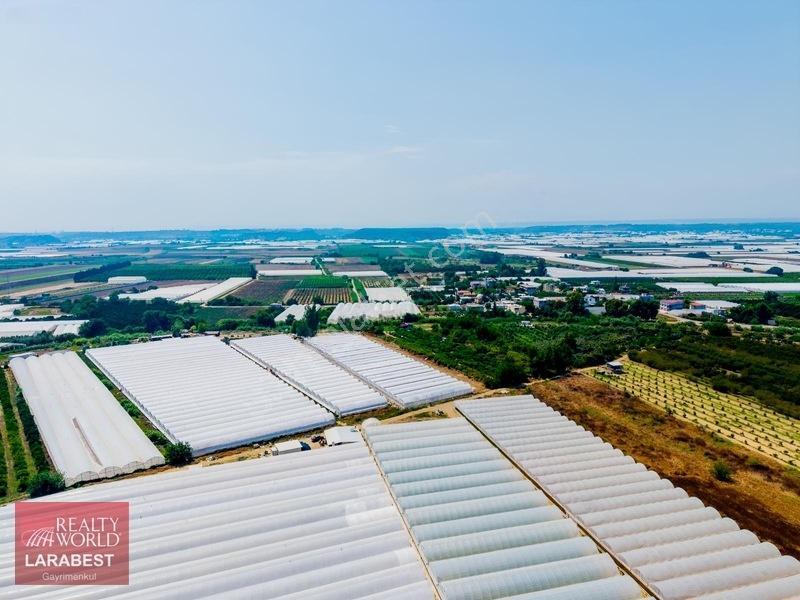 Aksu Solakta 8.365 M² Satılık Tarla | 7.000 M² Sera + İşçi Evi — fotoğraf 19