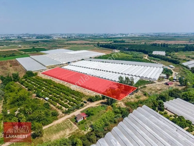 Aksu Solakta 8.365 M² Satılık Tarla | 7.000 M² Sera + İşçi Evi — fotoğraf 20