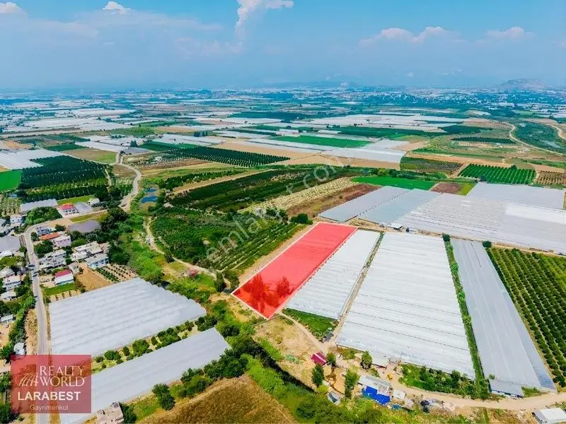 Aksu Solakta 8.365 M² Satılık Tarla | 7.000 M² Sera + İşçi Evi — fotoğraf 21