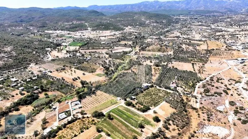 Menderes Dereköyde 397 M2 Konteyner Evli Satılık Tarla Hissesi — fotoğraf 12