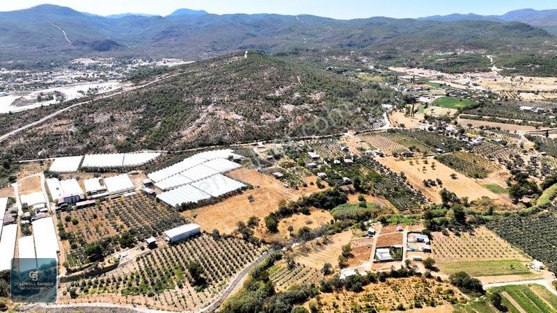 Menderes Dereköyde 397 M2 Konteyner Evli Satılık Tarla Hissesi — fotoğraf 13