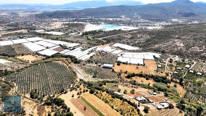 Menderes Dereköyde 397 M2 Konteyner Evli Satılık Tarla Hissesi — fotoğraf 16