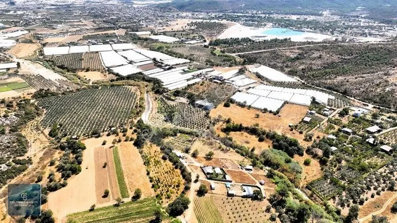 Menderes Dereköyde 397 M2 Konteyner Evli Satılık Tarla Hissesi — fotoğraf 17